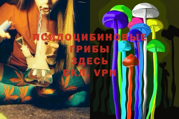 мескалин Братск