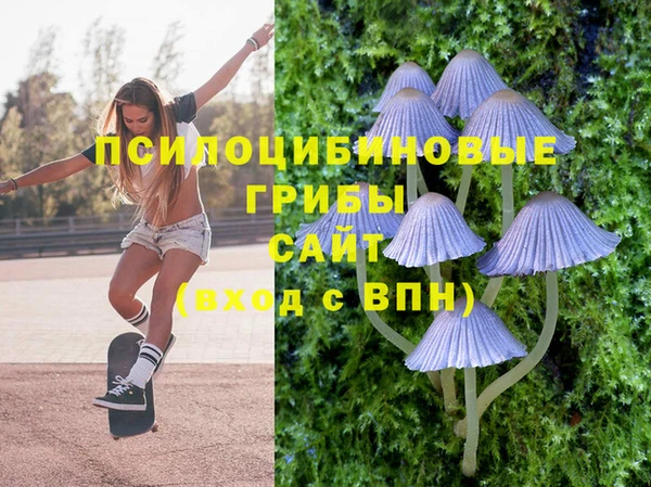 стафф Нижневартовск