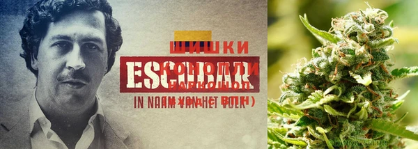 мескалин Братск
