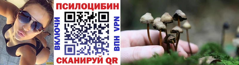 Псилоцибиновые грибы Magic Shrooms  цена   Амурск 
