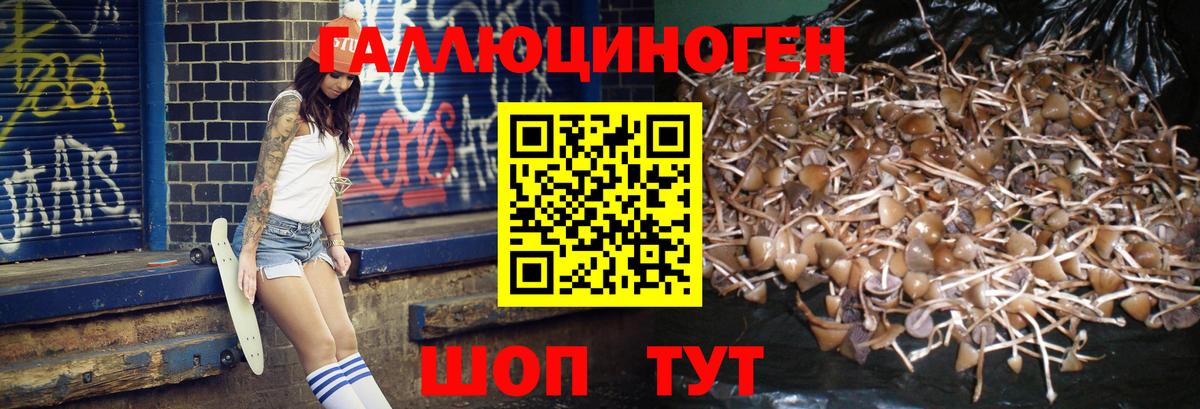 наркошоп  Амурск  Псилоцибиновые грибы ЛСД 