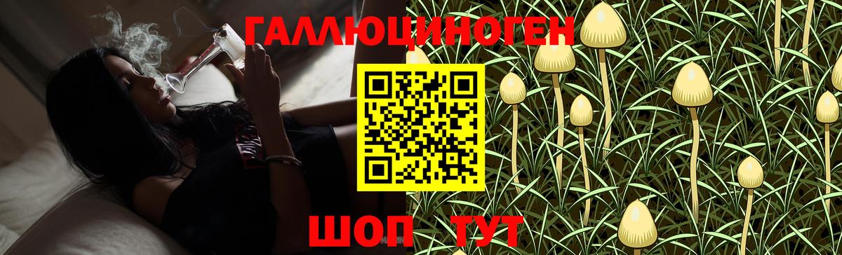 Псилоцибиновые грибы Magic Shrooms Амурск