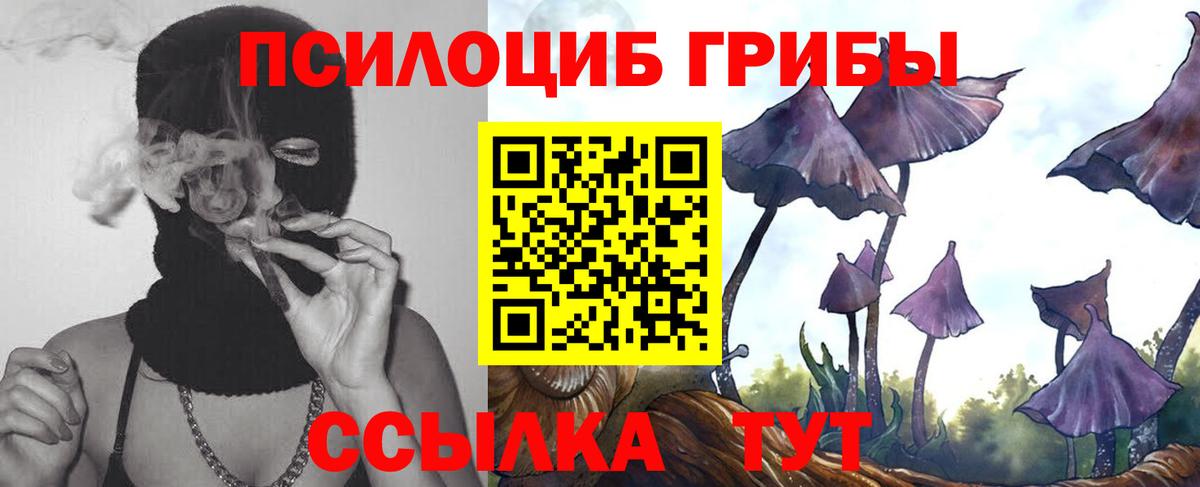 Галлюциногенные грибы мицелий  Псилоцибиновые грибы Psilocybine cubensis  Вход с VPN  Амурск 