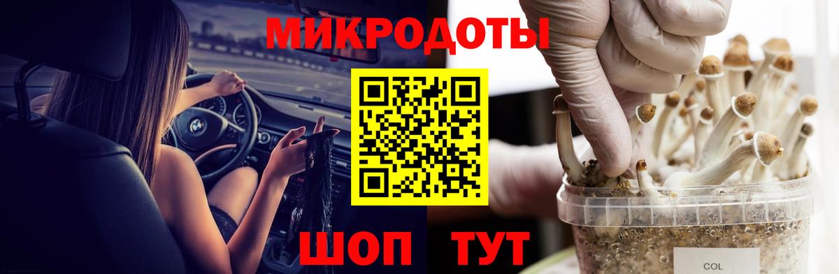 Галлюциногенные грибы Magic Shrooms  Вход с VPN  Амурск 