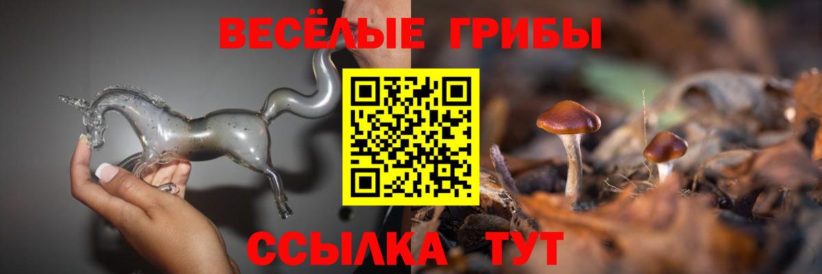 Псилоцибиновые грибы мицелий Амурск